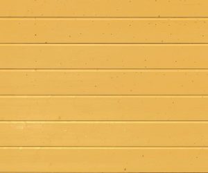 LTH 40 Timber Sectional Door