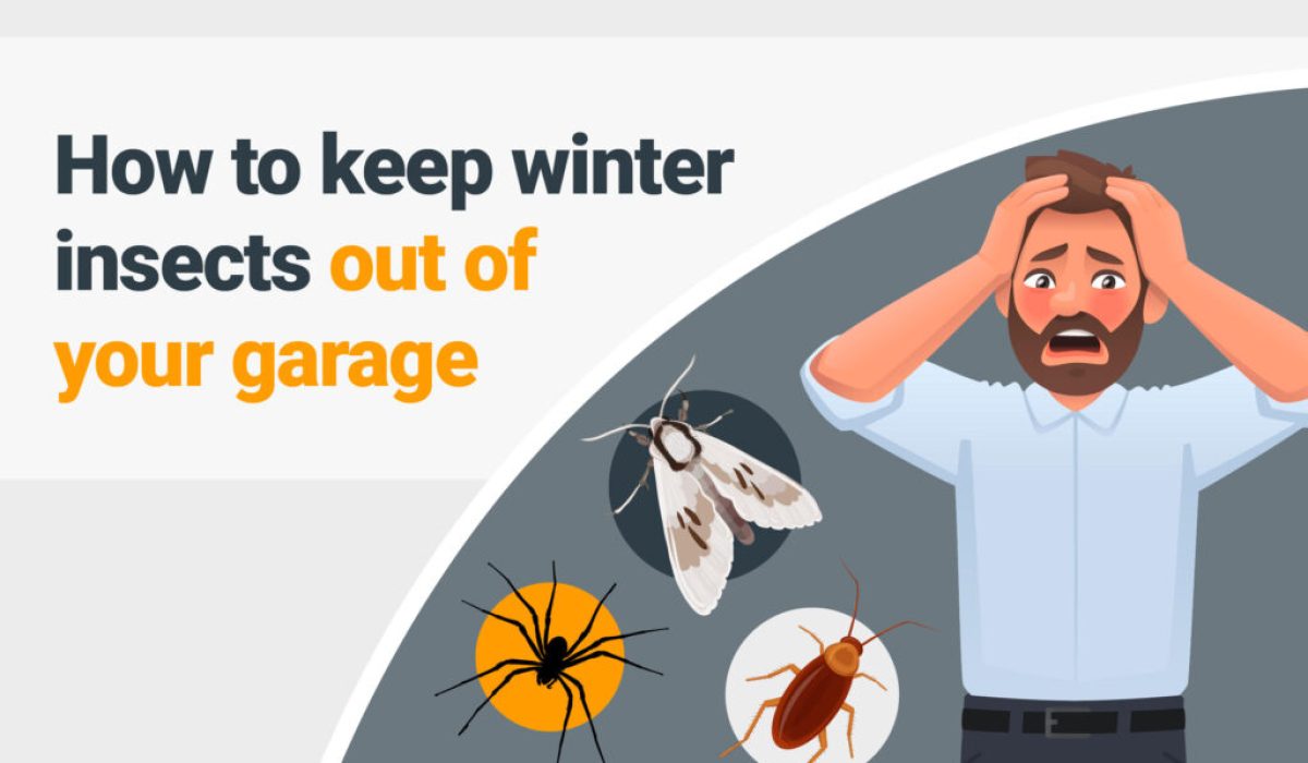 How To Keep Winter Insects Out Of Your Garage - Doormatic