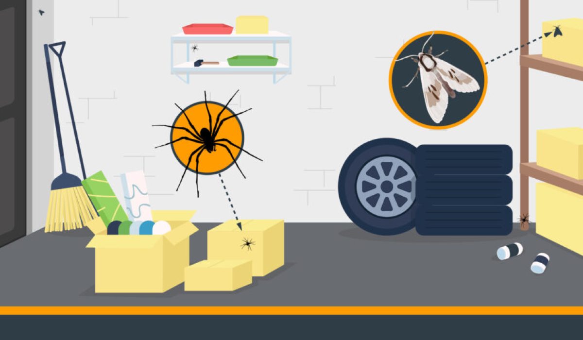 5 Signs Of An Infestation - Doormatic